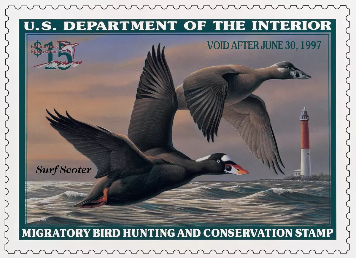 U.S. Department of the Interior – Bird Stamp (Duck Stamp)