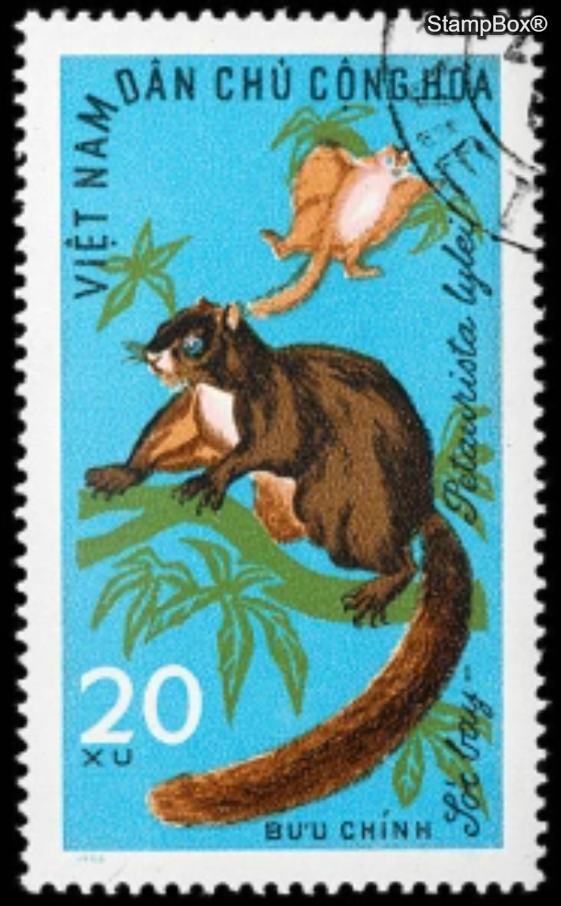 Vietnam 20 Xu Stamp – Flying Squirrel (Petaurista petaurista), 1970s